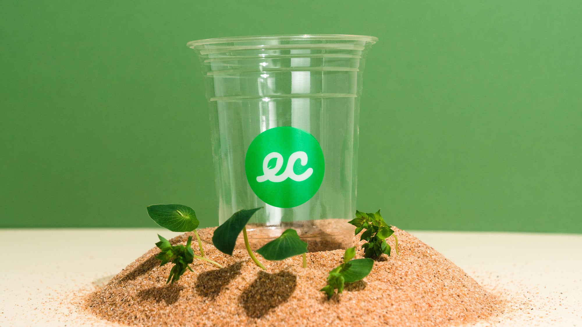 Green Compostable Earth Cup In Dirt